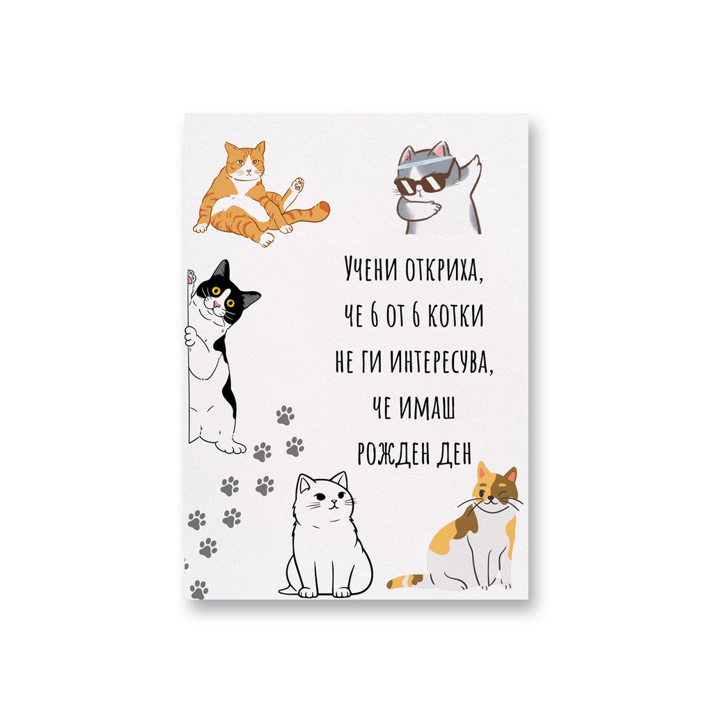 6 от 6 котки не ги интересува - Картичка за рожден ден - Zinora.bg