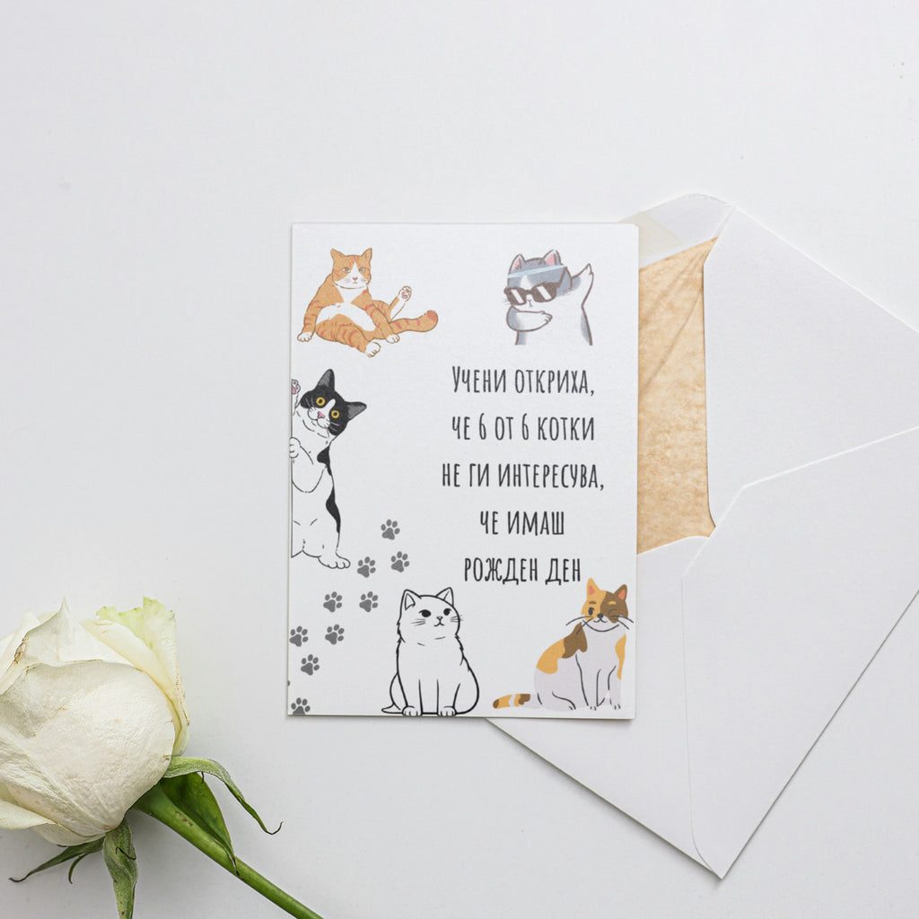 6 от 6 котки не ги интересува - Картичка за рожден ден - Zinora.bg