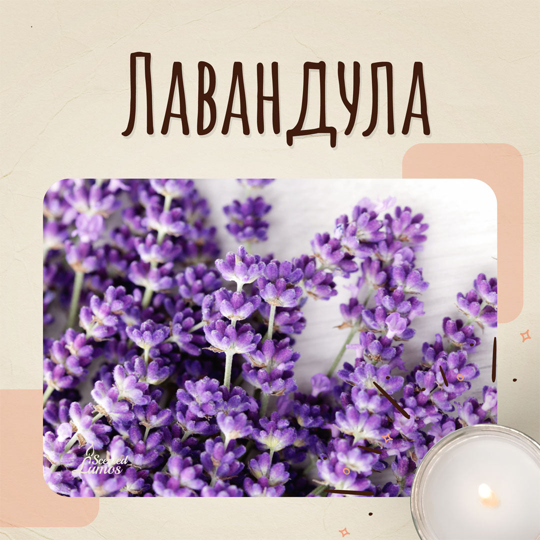 Аромат за свещи