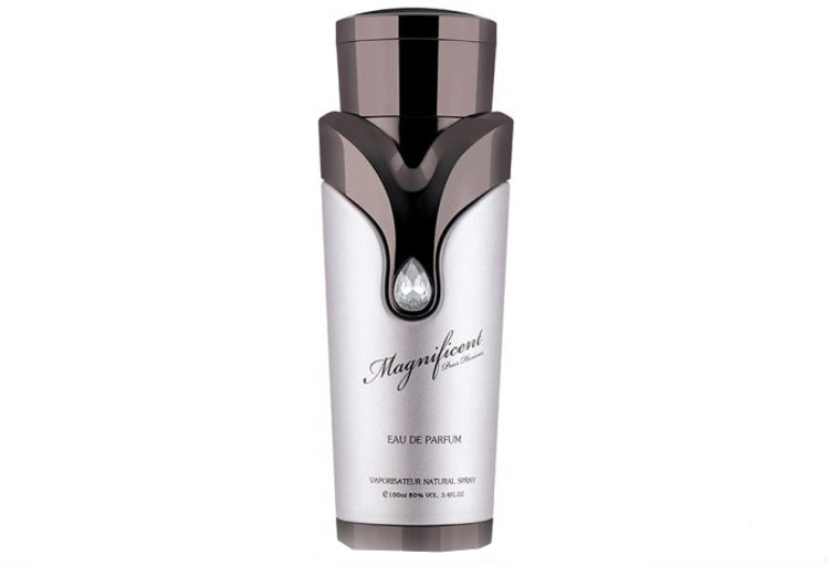 Armaf Magnificent Pour Homme - EDP 100 ml за мъже