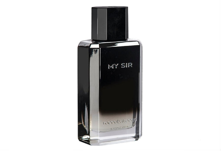 Roccobarocco My Sir - EDP 100 ml за мъже