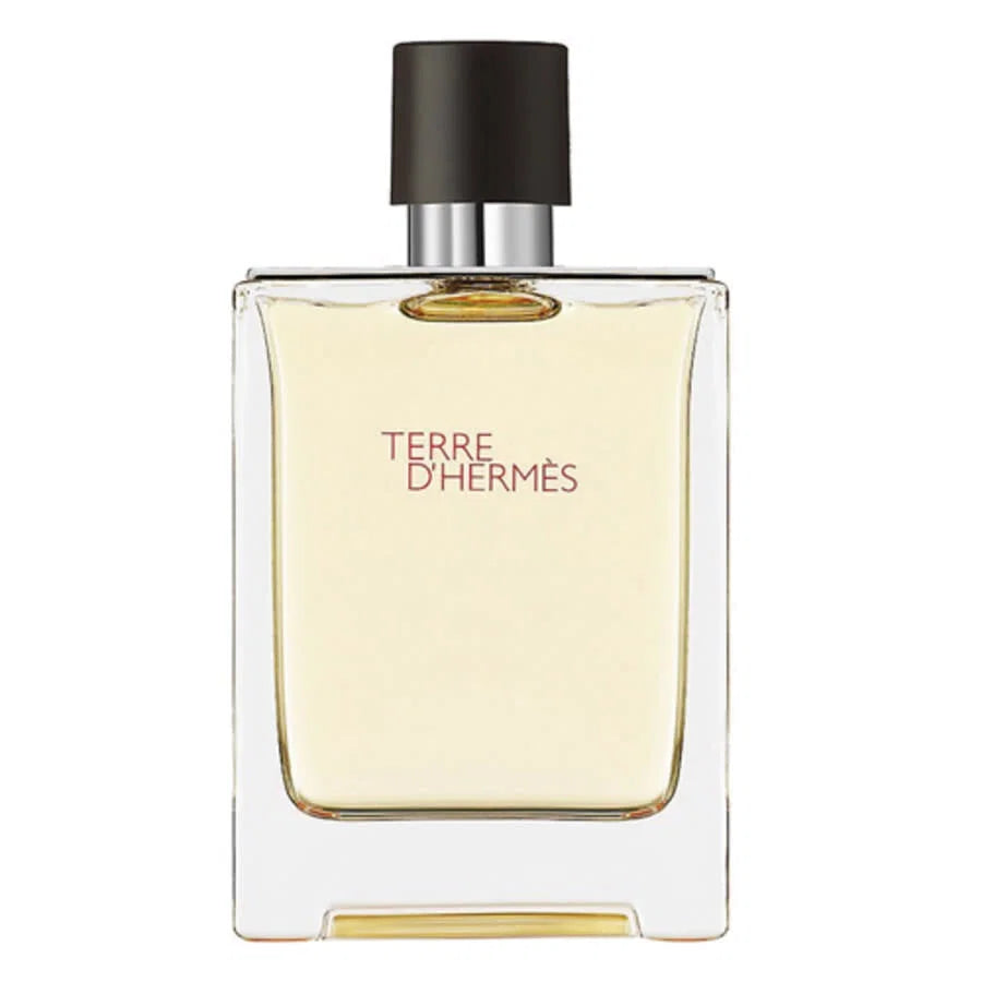 Hermes, Terre d'Hermes, Тоалетна вода, За мъже, 100 мл *Тестер