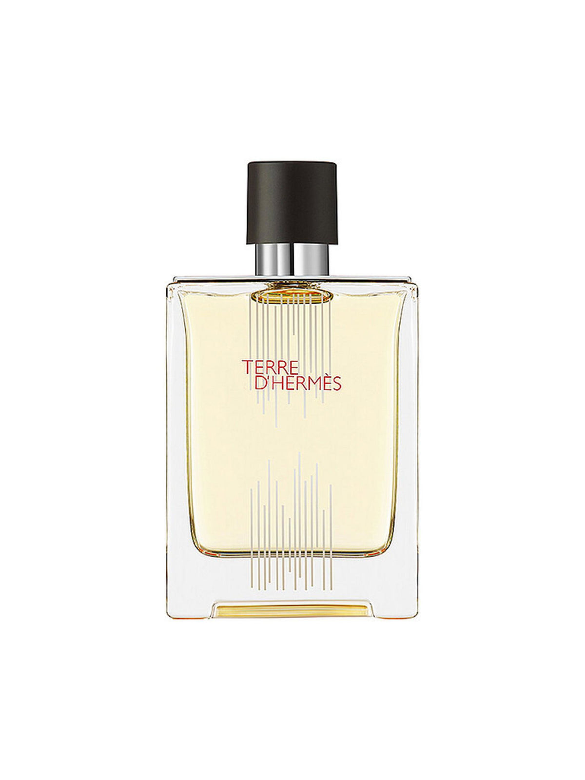 Hermes, Terre d'Hermes Flacon H Limited Edition, Тоалетна вода, За мъже, 100 мл