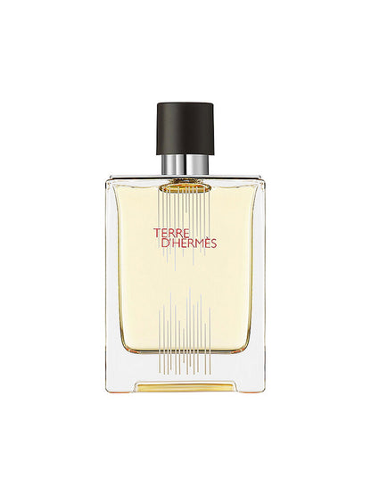 Hermes, Terre d'Hermes Flacon H Limited Edition, Тоалетна вода, За мъже, 100 мл