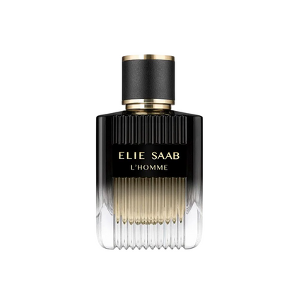 Elie Saab, L'Homme, Парфюмна вода, За мъже, Презареждаема, 100 мл