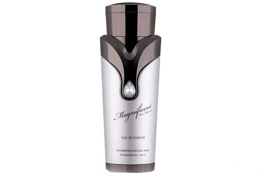 Armaf Magnificent Pour Homme - EDP 100 ml за мъже Zinora.bg