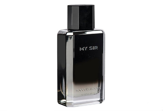 Roccobarocco My Sir - EDP 100 ml за мъже Zinora.bg