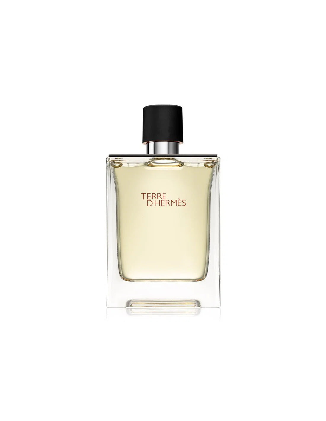 Hermes, Terre d'Hermes, Тоалетна вода, За мъже, 100 мл