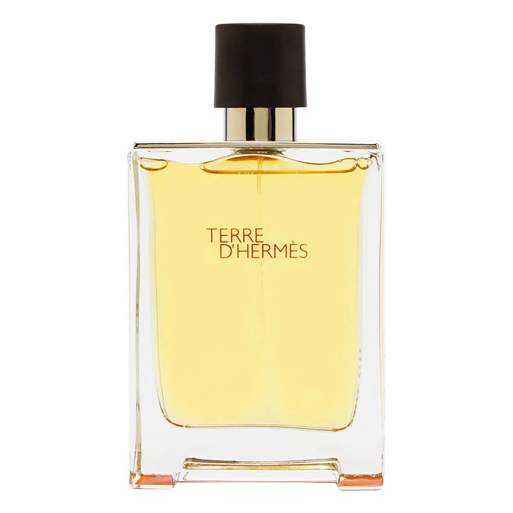 Hermes, Terre d'Hermes, Тоалетна вода, За мъже, 200 мл