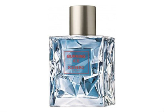 Iceberg Burning Ice for Men EDT 50 ml за мъже Zinora.bg