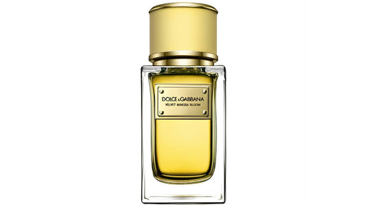 Dolce & Gabbana Velvet Mimosa Bloom EDP 50 ml за жени Zinora.bg